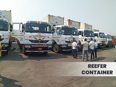 Gallery - Reefer Container